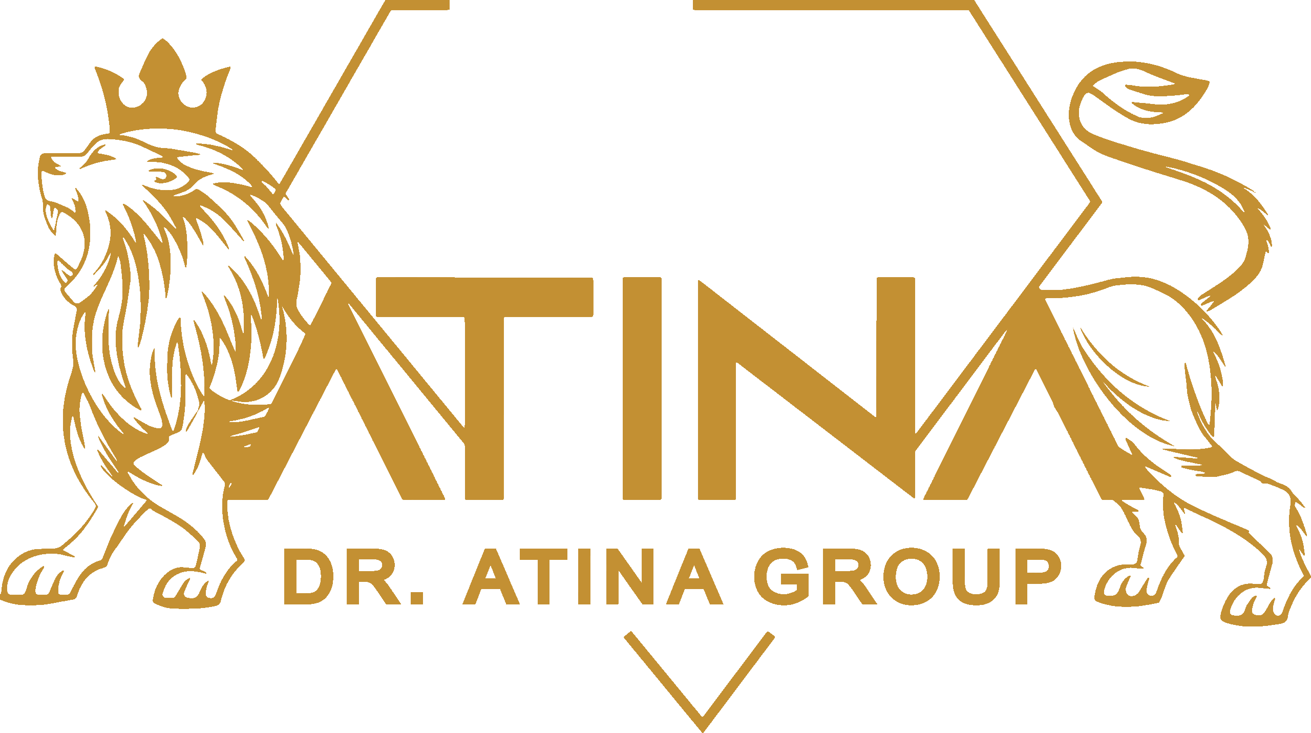 DrAtinaGroup